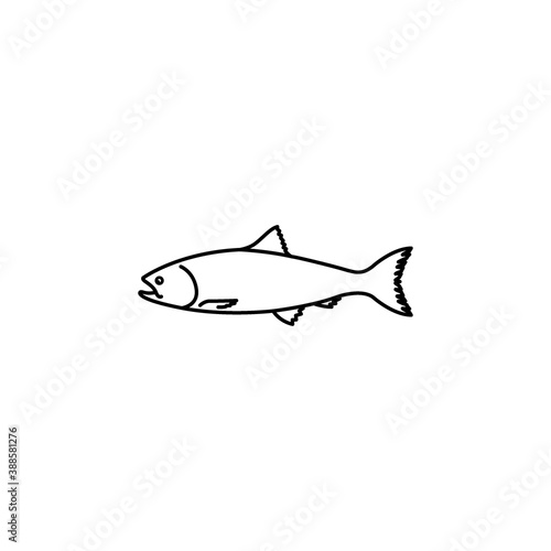 Salmon fish icon vector illustration