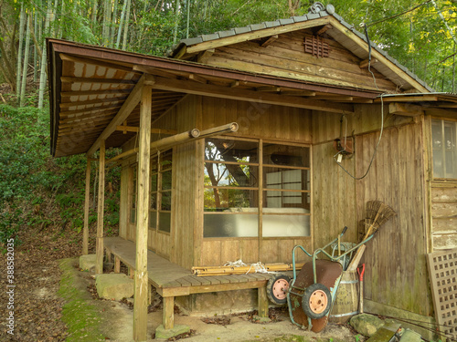森の中に建てられた木造家屋の外観