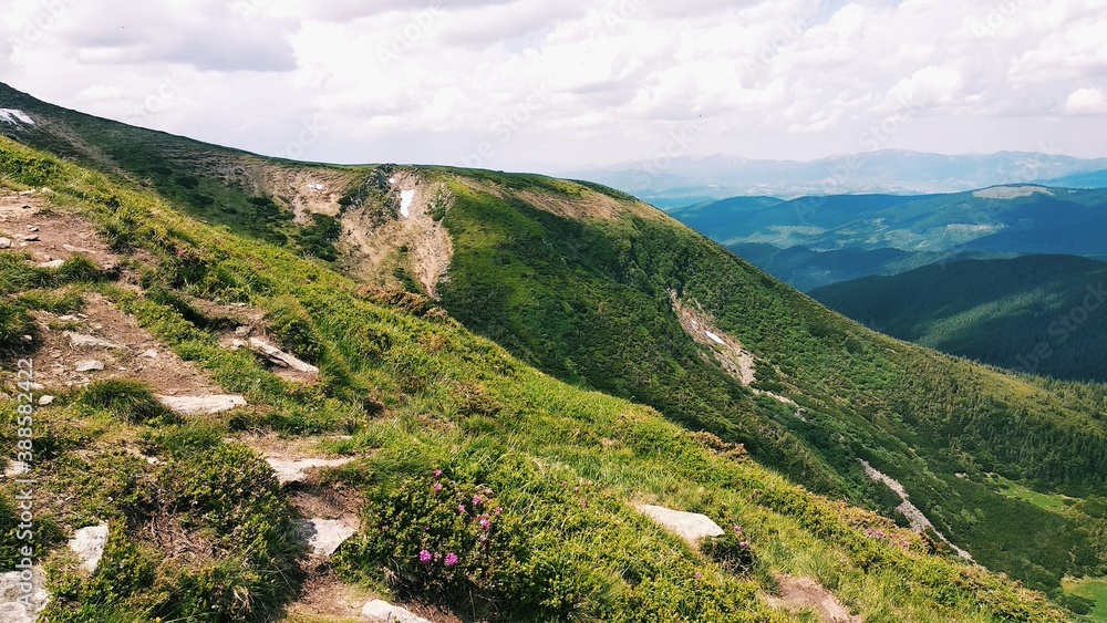 Fototapeta premium landscape in summer