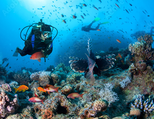 Fotografia Group of divers exlpore colorful coral reef.