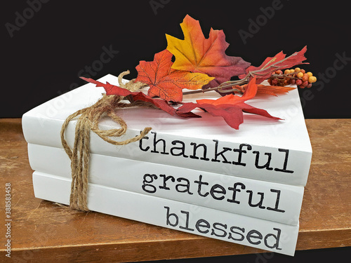 stack of books with text on white dust covers and fall leaves tied with rope string photo