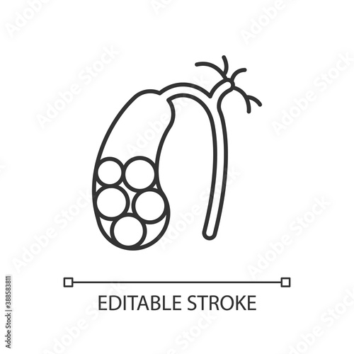 Gallstones linear icon. Cholelithiasis. Hardened bile deposits. Solid material in gallbladder. Thin line customizable illustration. Contour symbol. Vector isolated outline drawing. Editable stroke