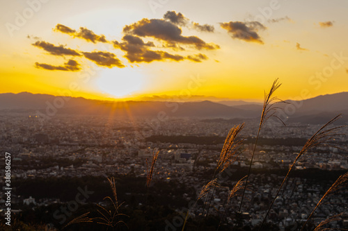 高台から望む夕日とそよぐススキ