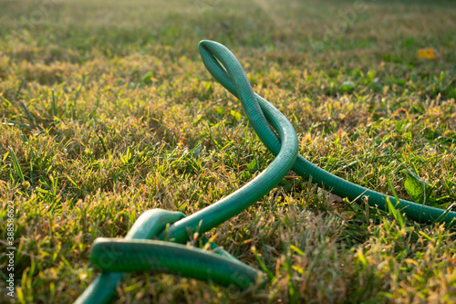 a green kinked garden hose