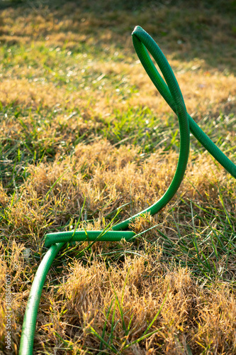 a green kinked garden hose