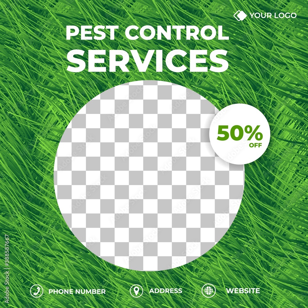 Editable square background template. Social media post template pest