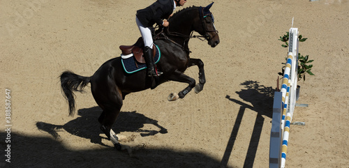 brown horse jumping the obstacle durign a five star competition in Italy