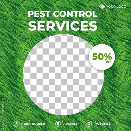 Editable square background template. Social media post template pest control services. Green grass background with photo collage. Usable for social media post, story and web internet ads.
