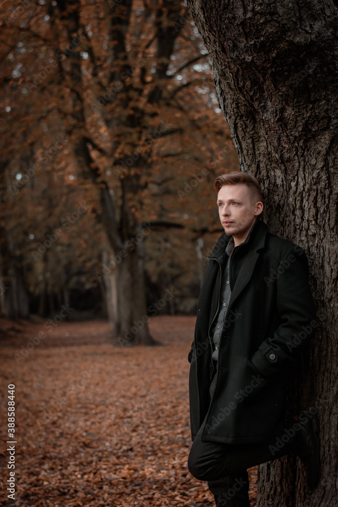 young man in the autumn forest young man in the autumn forest