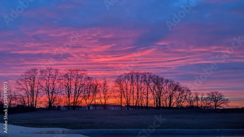 sunset in the forest