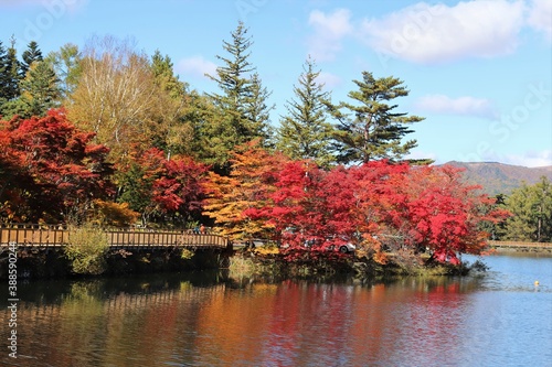 蓼科湖　紅葉と雪景色 photo