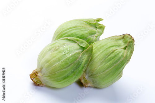 Wallpaper Mural 春の山菜ふきのとう Torontodigital.ca