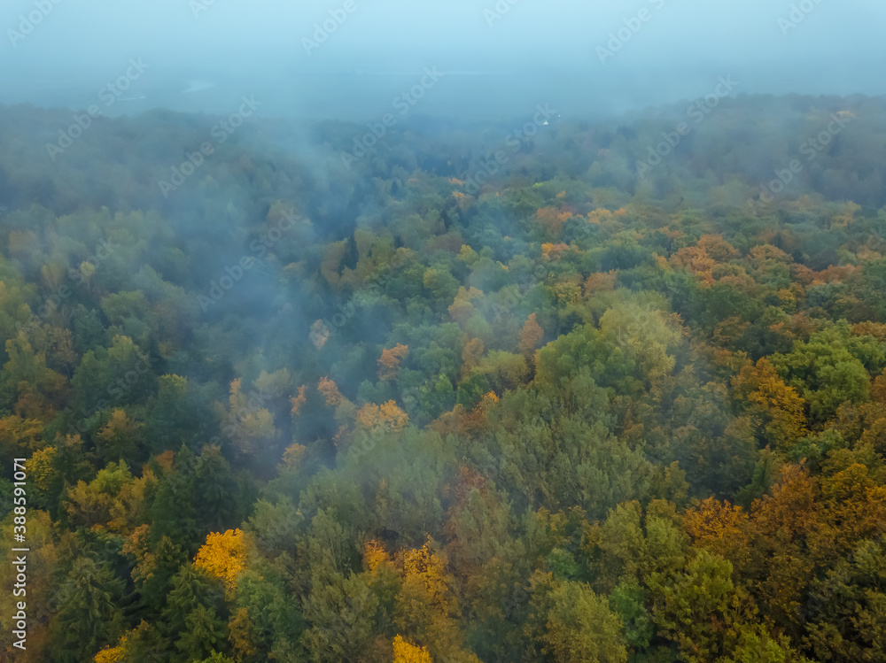 Top-down view of a colorful, beautiful autumn forest with fog in cloudy weather, photo from a drone.