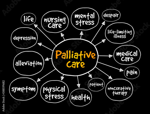 Palliative care mind map, health concept for presentations and reports