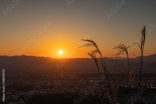 高台から望む盆地に沈む夕日とススキのシルエット