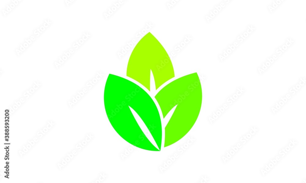 vector leaf icon vector leaf icon