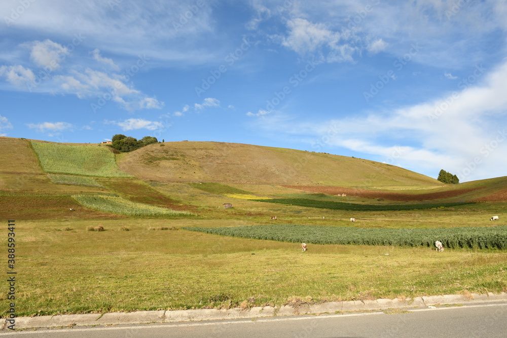 #Boyacá #naturaleza #paisaje  #sombra #nubes #montañas #arbustos #ladera #sembrados