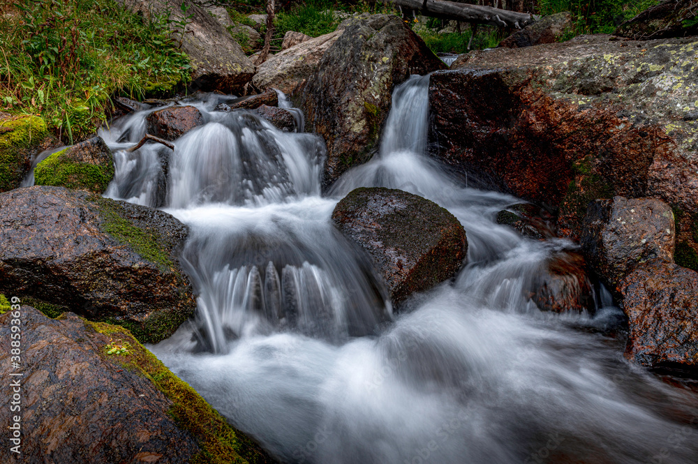 Fototapeta premium Andrews Creek in Rocky Mountain National Park