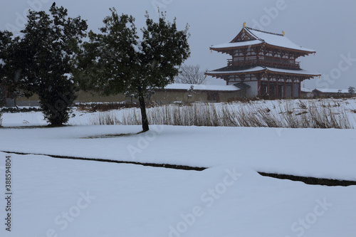 雪の平城宮朱雀門 photo