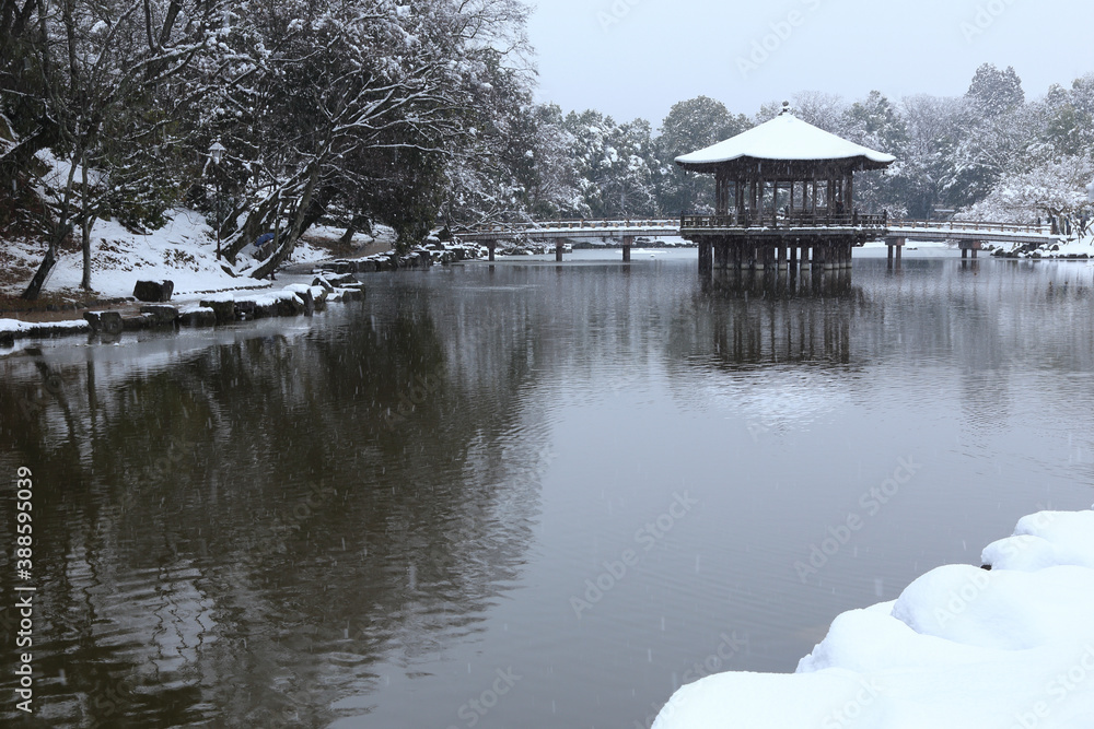 Fototapeta premium 雪の奈良公園浮御堂