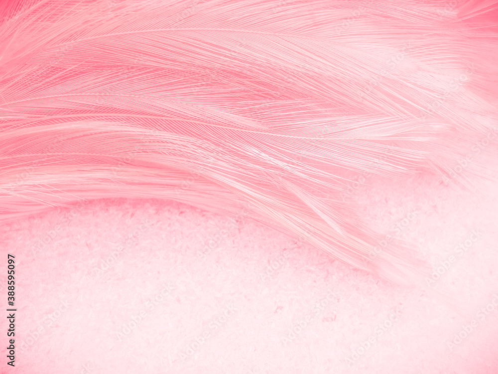 Beautiful Color Feathers On Pink Background, Feather Texture, Feather  Wallpaper Free Image and Photograph 199289194.