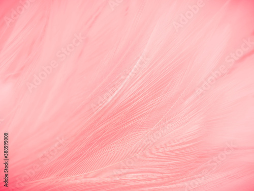 Beautiful abstract gray and pink feathers on white background,  white feather frame texture on pink pattern and pink background, love theme wallpaper and valentines day © Weerayuth