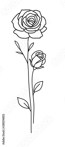 One line drawing. Garden rose with long stem and leaves. Hand drawn sketch. Vector illustration.
