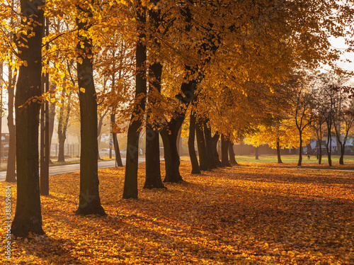Golden autumn in the mountains with morning mists and yellow-red leaves on the trees