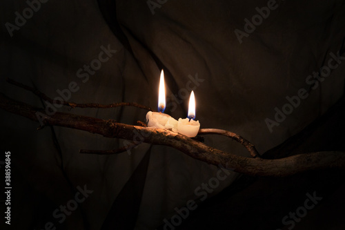 Two candles on a branch