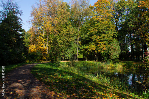 a path through the autumn forest
