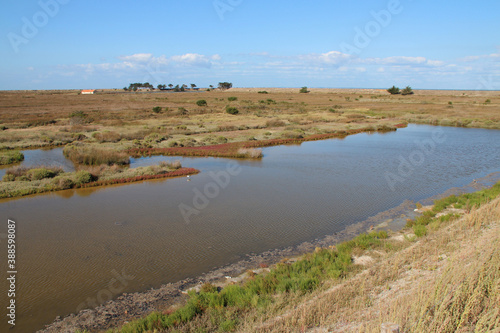 noirmoutier island in vendée (france)