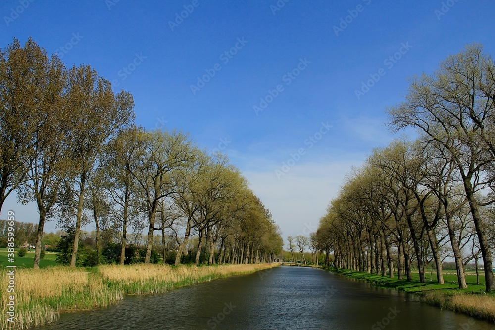 The river that divides Belgium and the Netherlands looks very beautiful on summer day at Sluis Netherland The river that divides Belgium and the Netherlands looks very beautiful on summer day at Sluis Netherland