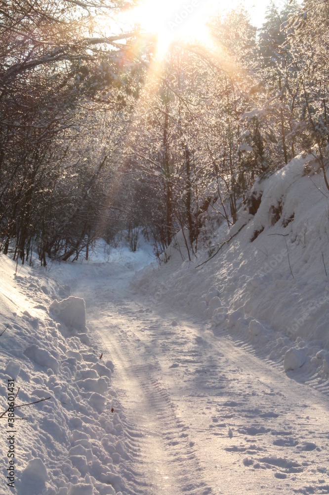 winter, sun