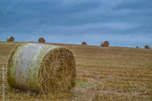 Campo de Heno