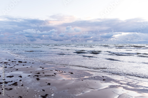 Fototapeta Naklejka Na Ścianę i Meble -  The sea and the sky before the storm. .With algae on the shore sand