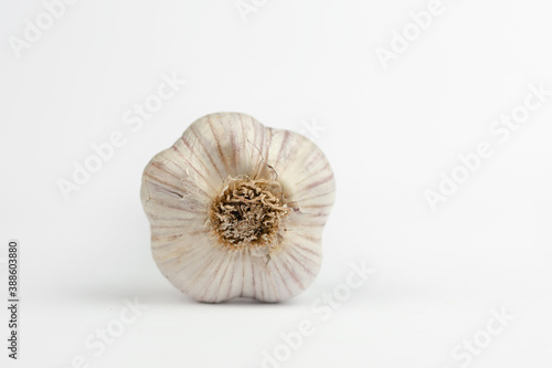 garlic isolated on white background