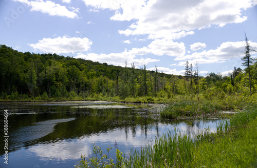 Peaceful scenery revealing a Lake, mountains and trees on a partly cloudy day © CELINE BISSON PHOTOS