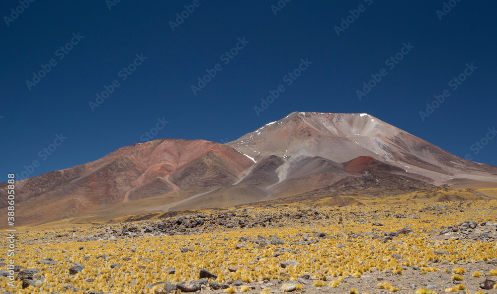Volcanic landscape high in the alps. Beautiful view of the golden meadow, Andes mountain range and Volcano Incahuasi under a deep blue sky, in Catamarca, Argentina.