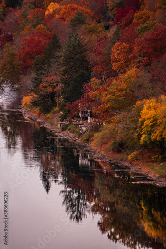 Fototapeta Naklejka Na Ścianę i Meble -  fall colors on the river