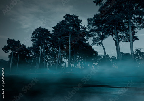 Dark gloomy forest. Night i...