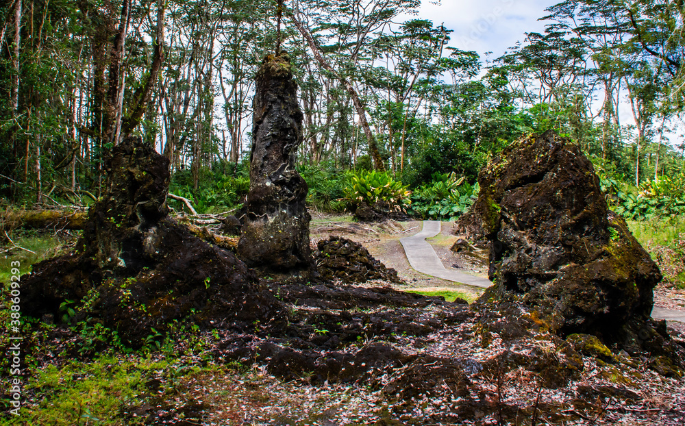 Lava Trees at Lava Tree State Monument, Big Island, Hawaii Lava Trees at Lava Tree State Monument, Big Island, Hawaii