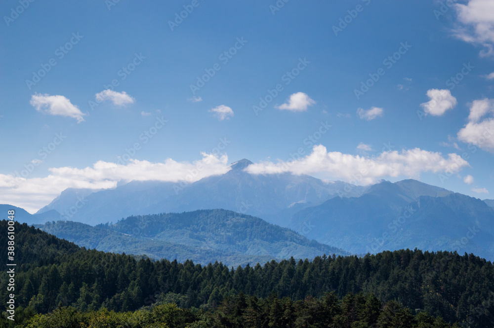 Mountain view over forest area