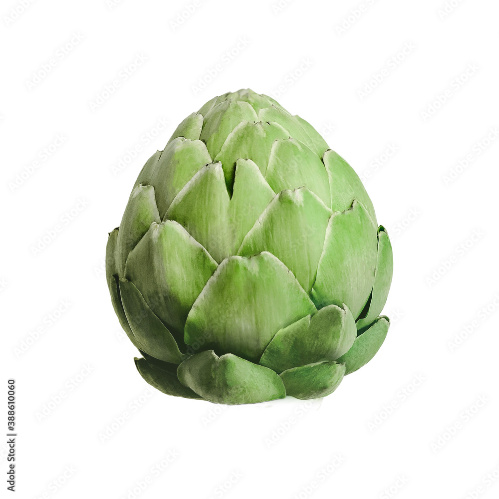 Obraz premium artichoke isolated on white background