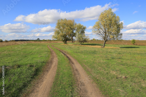 rut road in steppe