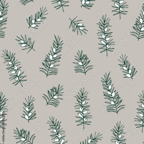 Elegant hand drawn Christmas seamless pattern. Evergreen coniferous taxus tree branches. Winter vintage engraving design. Beige vector illustration background. Floral tile for fabric, scrapbooking.