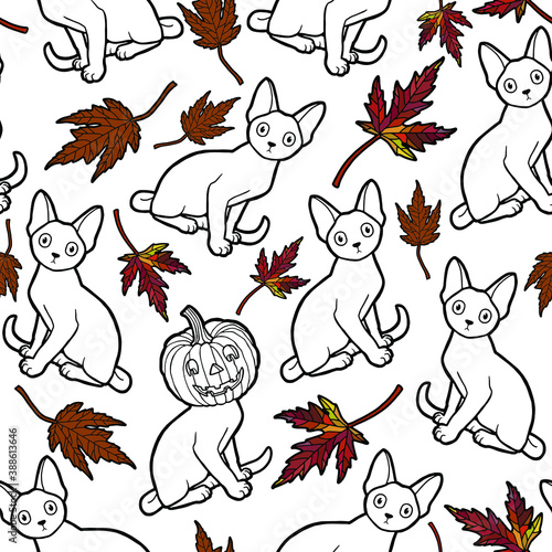 Vector illustration. Hand drawing art. Seamless background. Cats  pumpkins and maple leaves. Halloween decoration.
