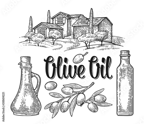 Set olive. Bottle glass, branch with leaves, rural landscape villa