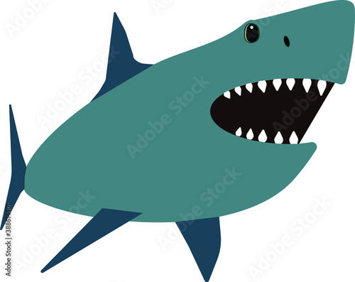 Gray shark on a white background