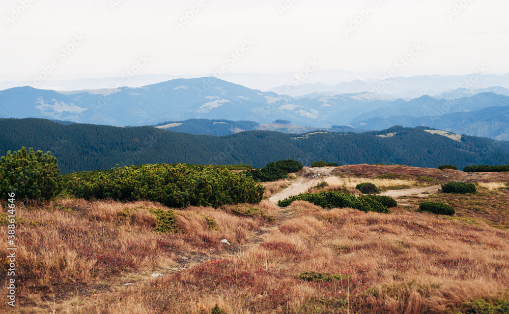 autumn landscape at the top of the mountain autumn landscape at the top of the mountain