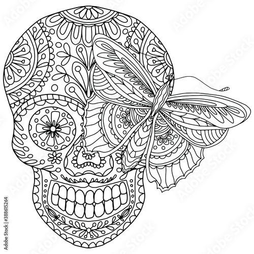 butterfly with hand drawn ornaments on a skull with flowers for coloring on a white background  vector  skull  butterfly